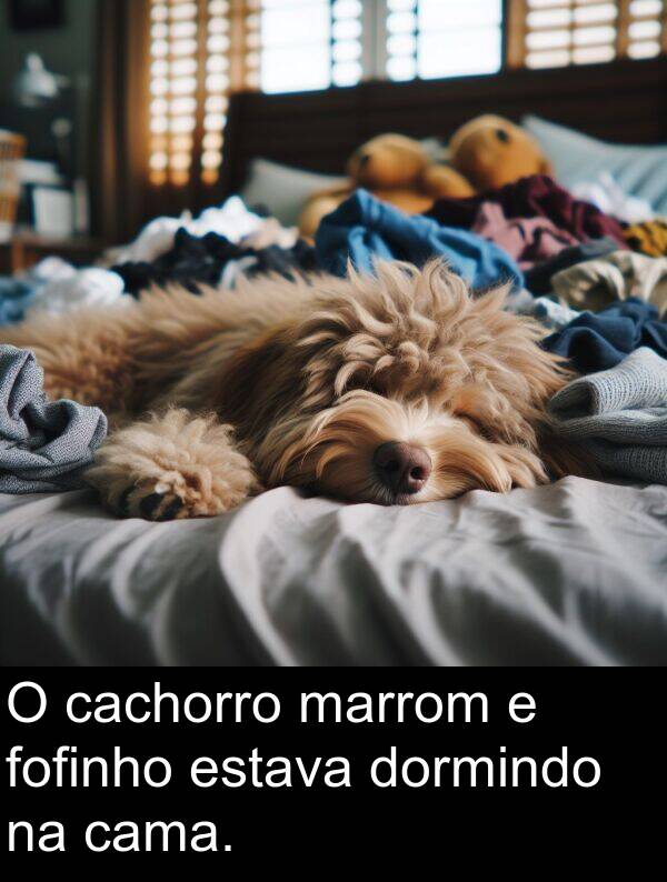 marrom: O cachorro marrom e fofinho estava dormindo na cama.