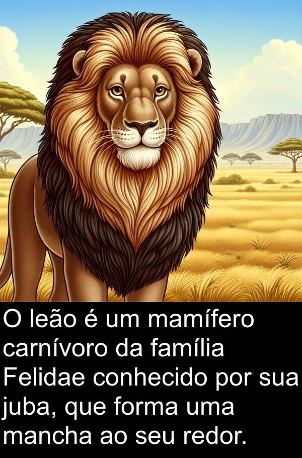 mamífero: O leão é um mamífero carnívoro da família Felidae conhecido por sua juba, que forma uma mancha ao seu redor.