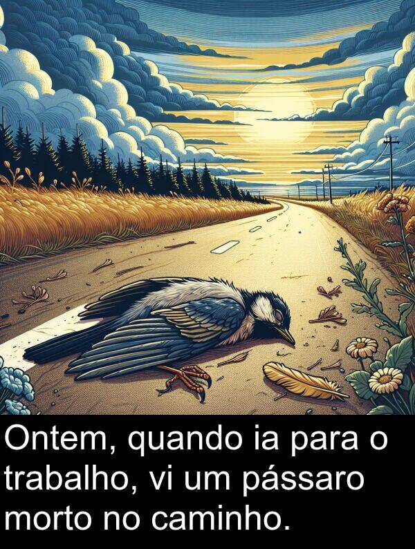 pássaro: Ontem, quando ia para o trabalho, vi um pássaro morto no caminho.