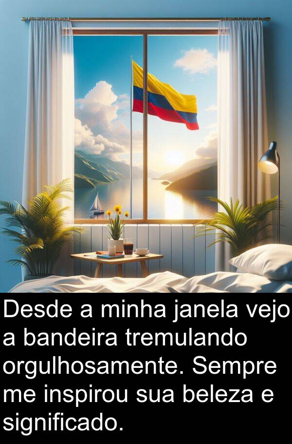 beleza: Desde a minha janela vejo a bandeira tremulando orgulhosamente. Sempre me inspirou sua beleza e significado.