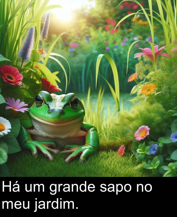 sapo: Há um grande sapo no meu jardim.