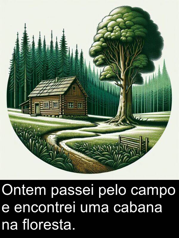 passei: Ontem passei pelo campo e encontrei uma cabana na floresta.