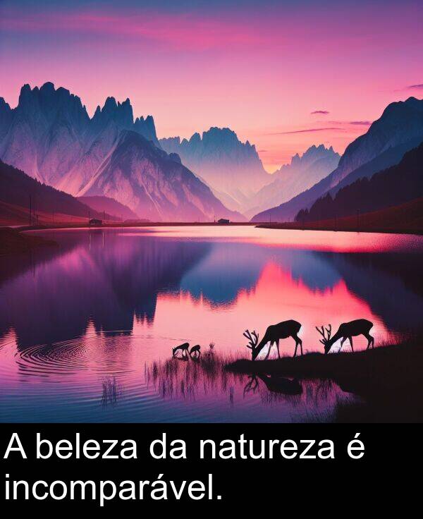 beleza: A beleza da natureza é incomparável.