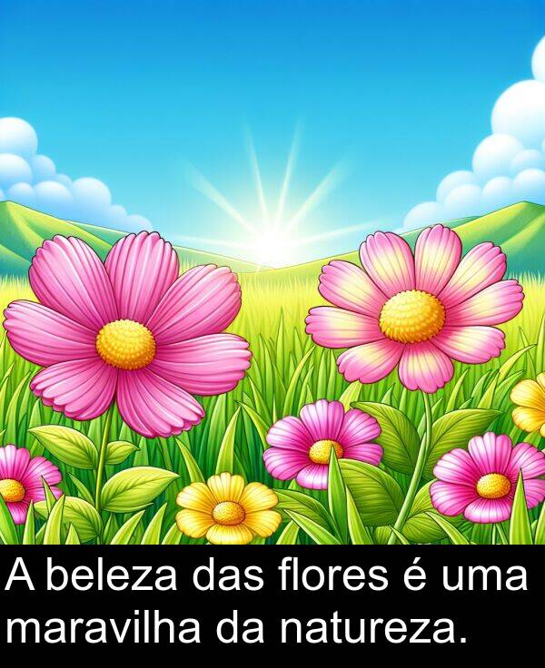 das: A beleza das flores é uma maravilha da natureza.