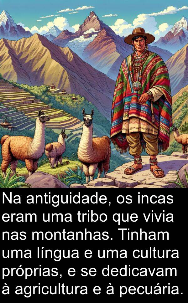 incas: Na antiguidade, os incas eram uma tribo que vivia nas montanhas. Tinham uma língua e uma cultura próprias, e se dedicavam à agricultura e à pecuária.