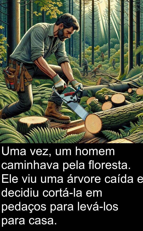 decidiu: Uma vez, um homem caminhava pela floresta. Ele viu uma árvore caída e decidiu cortá-la em pedaços para levá-los para casa.