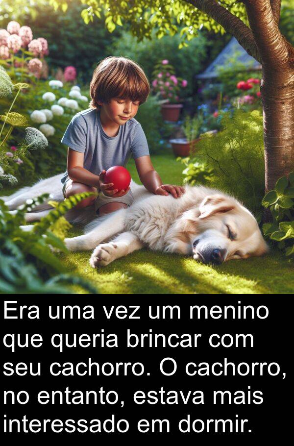 brincar: Era uma vez um menino que queria brincar com seu cachorro. O cachorro, no entanto, estava mais interessado em dormir.