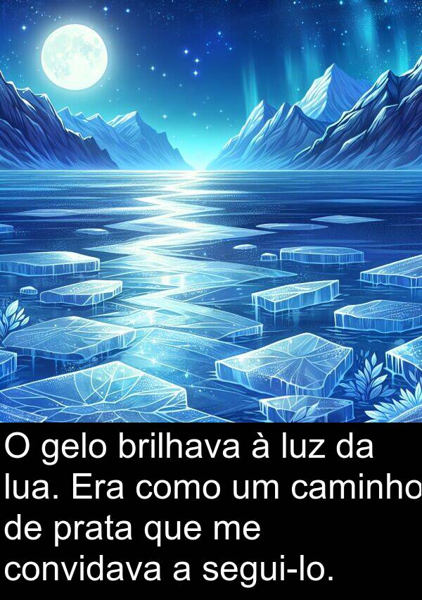 gelo: O gelo brilhava à luz da lua. Era como um caminho de prata que me convidava a segui-lo.