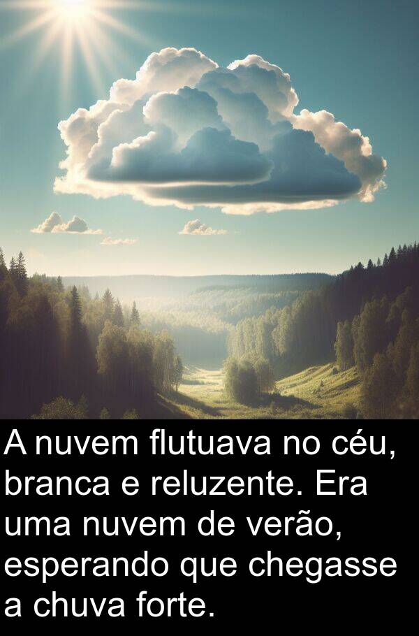 verão: A nuvem flutuava no céu, branca e reluzente. Era uma nuvem de verão, esperando que chegasse a chuva forte.