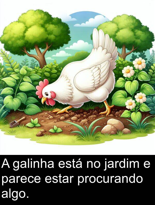 galinha: A galinha está no jardim e parece estar procurando algo.