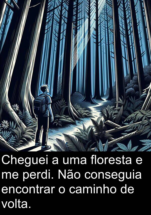 caminho: Cheguei a uma floresta e me perdi. Não conseguia encontrar o caminho de volta.