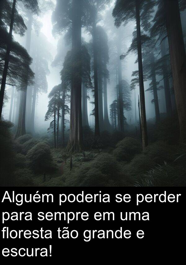 tão: Alguém poderia se perder para sempre em uma floresta tão grande e escura!