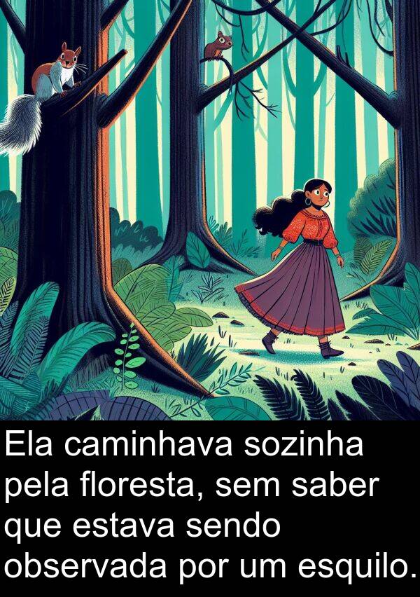 saber: Ela caminhava sozinha pela floresta, sem saber que estava sendo observada por um esquilo.