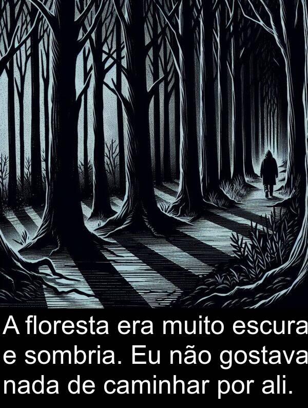 nada: A floresta era muito escura e sombria. Eu não gostava nada de caminhar por ali.