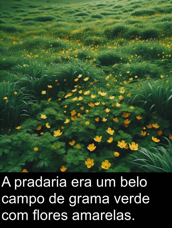 verde: A pradaria era um belo campo de grama verde com flores amarelas.