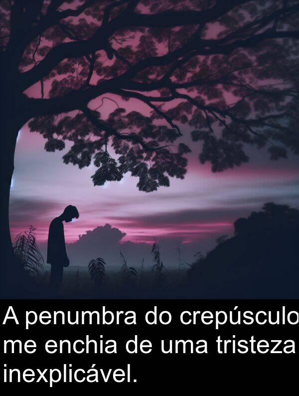 inexplicável: A penumbra do crepúsculo me enchia de uma tristeza inexplicável.