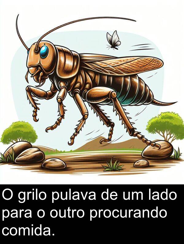 lado: O grilo pulava de um lado para o outro procurando comida.