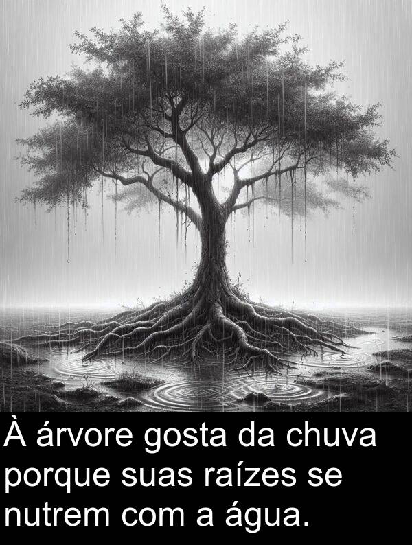 gosta: À árvore gosta da chuva porque suas raízes se nutrem com a água.