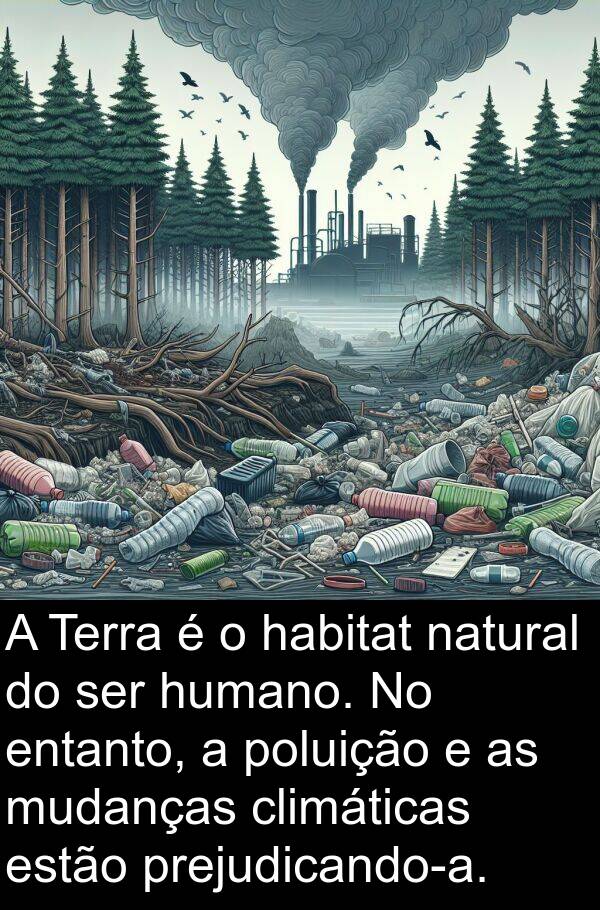 habitat: A Terra é o habitat natural do ser humano. No entanto, a poluição e as mudanças climáticas estão prejudicando-a.