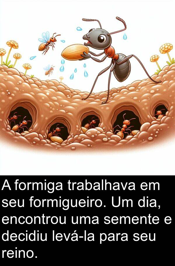 decidiu: A formiga trabalhava em seu formigueiro. Um dia, encontrou uma semente e decidiu levá-la para seu reino.