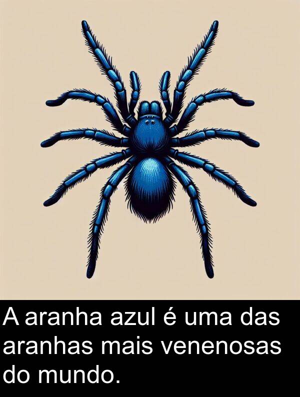 das: A aranha azul é uma das aranhas mais venenosas do mundo.