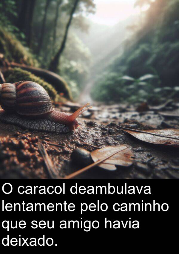 deixado: O caracol deambulava lentamente pelo caminho que seu amigo havia deixado.