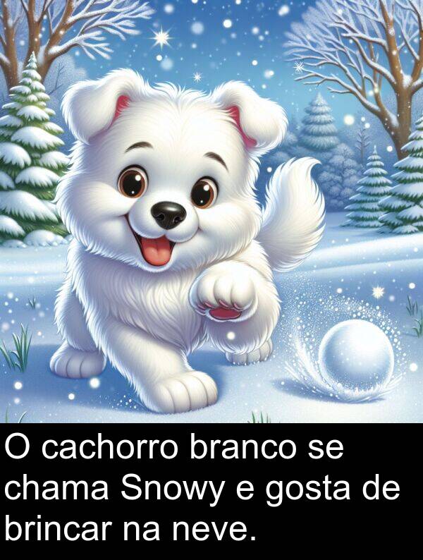 neve: O cachorro branco se chama Snowy e gosta de brincar na neve.