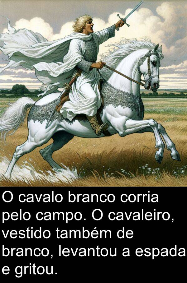 também: O cavalo branco corria pelo campo. O cavaleiro, vestido também de branco, levantou a espada e gritou.