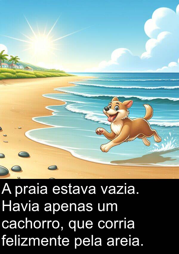 vazia: A praia estava vazia. Havia apenas um cachorro, que corria felizmente pela areia.