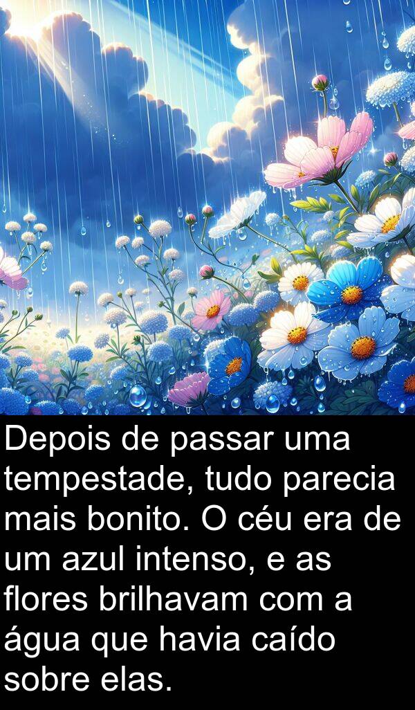 parecia: Depois de passar uma tempestade, tudo parecia mais bonito. O céu era de um azul intenso, e as flores brilhavam com a água que havia caído sobre elas.