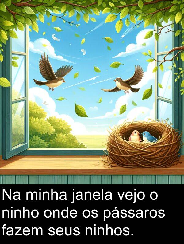 pássaros: Na minha janela vejo o ninho onde os pássaros fazem seus ninhos.