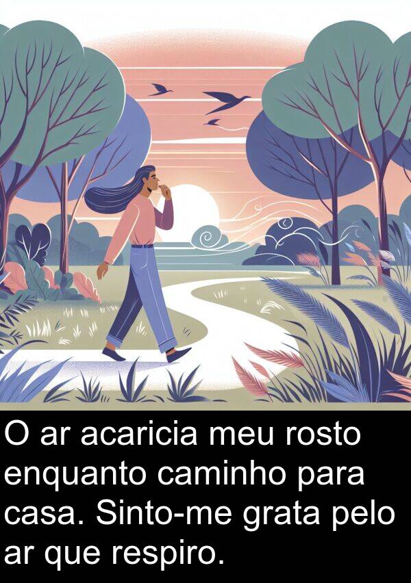 caminho: O ar acaricia meu rosto enquanto caminho para casa. Sinto-me grata pelo ar que respiro.