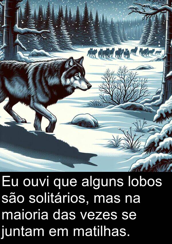 vezes: Eu ouvi que alguns lobos são solitários, mas na maioria das vezes se juntam em matilhas.