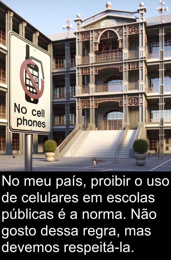 uso: No meu país, proibir o uso de celulares em escolas públicas é a norma. Não gosto dessa regra, mas devemos respeitá-la.