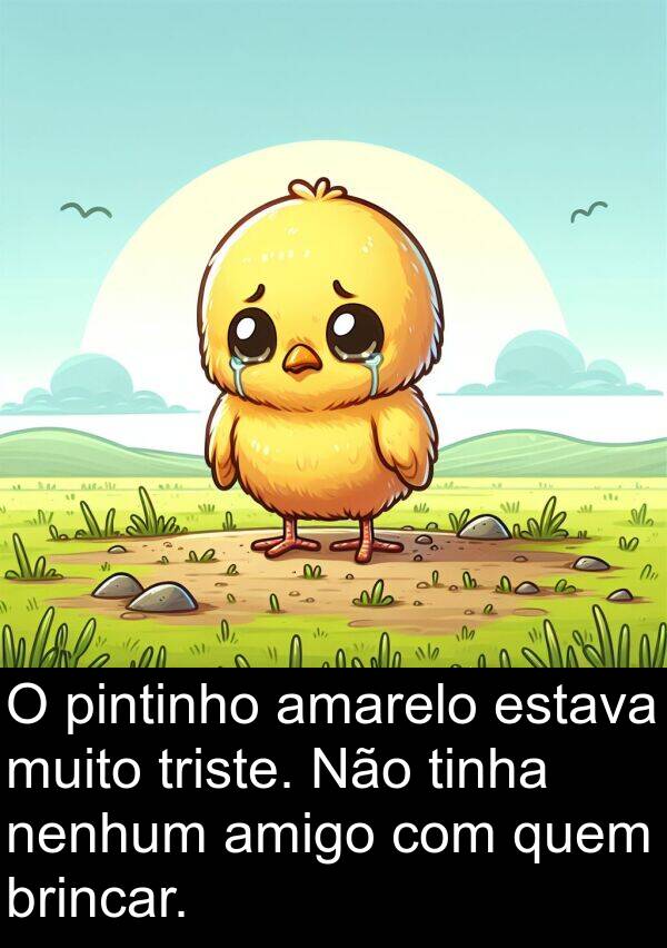 nenhum: O pintinho amarelo estava muito triste. Não tinha nenhum amigo com quem brincar.