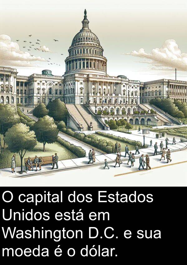 capital: O capital dos Estados Unidos está em Washington D.C. e sua moeda é o dólar.