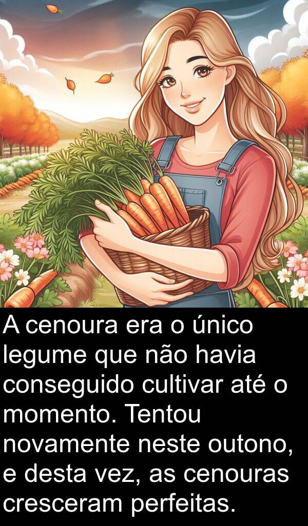 neste: A cenoura era o único legume que não havia conseguido cultivar até o momento. Tentou novamente neste outono, e desta vez, as cenouras cresceram perfeitas.