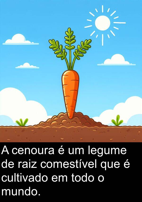 raiz: A cenoura é um legume de raiz comestível que é cultivado em todo o mundo.