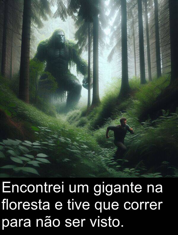 gigante: Encontrei um gigante na floresta e tive que correr para não ser visto.