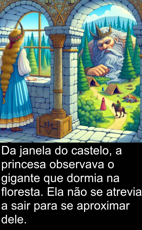 gigante: Da janela do castelo, a princesa observava o gigante que dormia na floresta. Ela não se atrevia a sair para se aproximar dele.