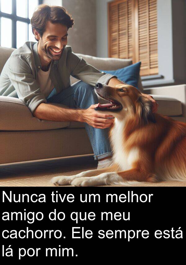 cachorro: Nunca tive um melhor amigo do que meu cachorro. Ele sempre está lá por mim.