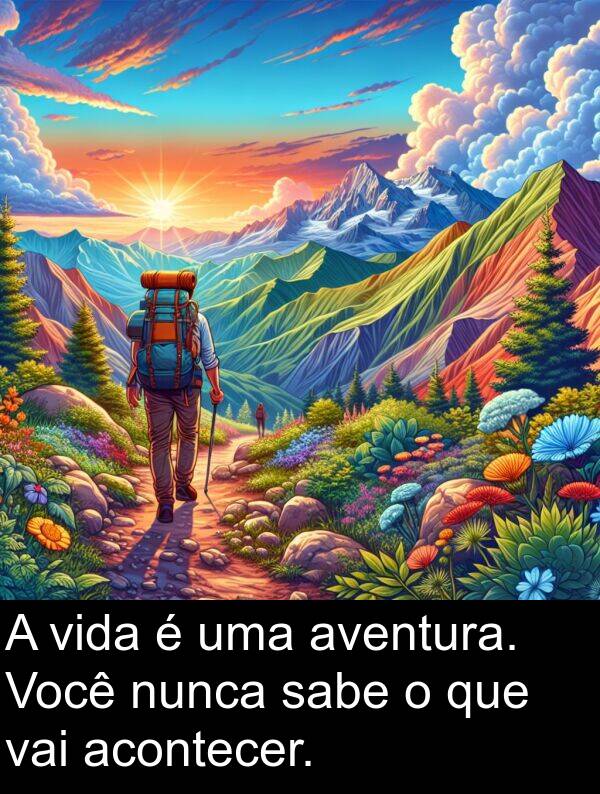 vai: A vida é uma aventura. Você nunca sabe o que vai acontecer.