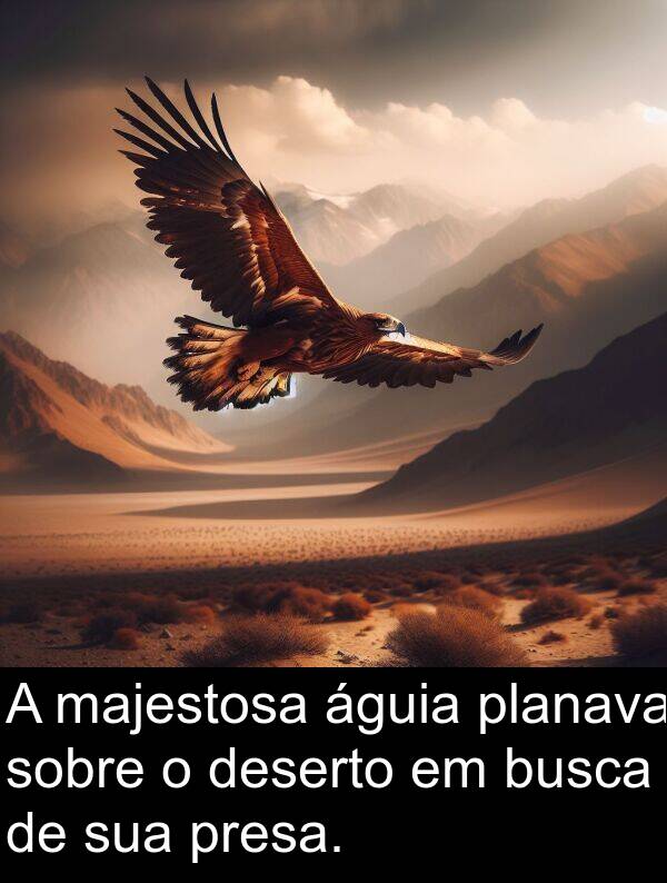 majestosa: A majestosa águia planava sobre o deserto em busca de sua presa.