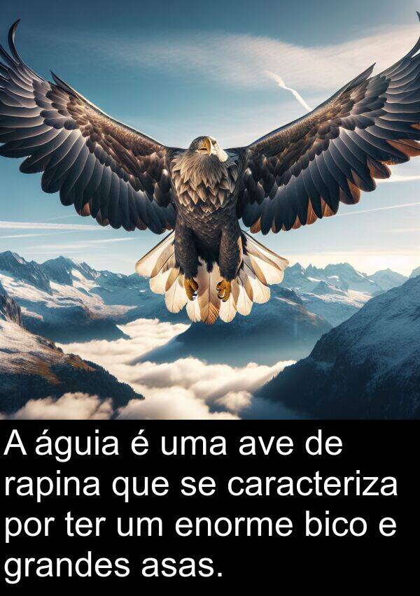 bico: A águia é uma ave de rapina que se caracteriza por ter um enorme bico e grandes asas.