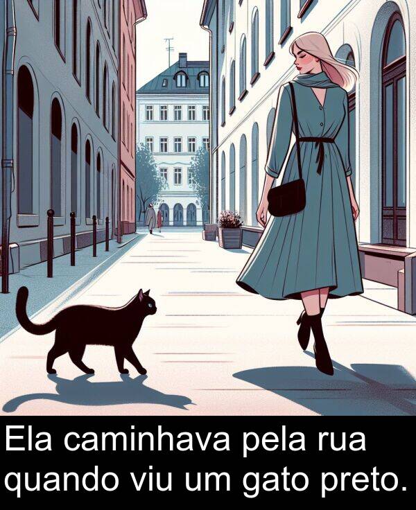 gato: Ela caminhava pela rua quando viu um gato preto.