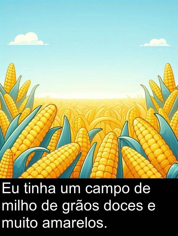 campo: Eu tinha um campo de milho de grãos doces e muito amarelos.