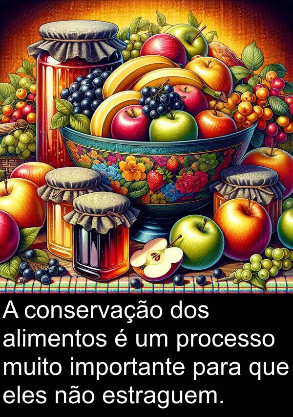 importante: A conservação dos alimentos é um processo muito importante para que eles não estraguem.