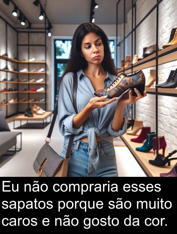 sapatos: Eu não compraria esses sapatos porque são muito caros e não gosto da cor.