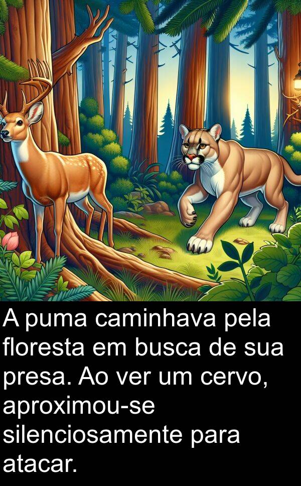 caminhava: A puma caminhava pela floresta em busca de sua presa. Ao ver um cervo, aproximou-se silenciosamente para atacar.