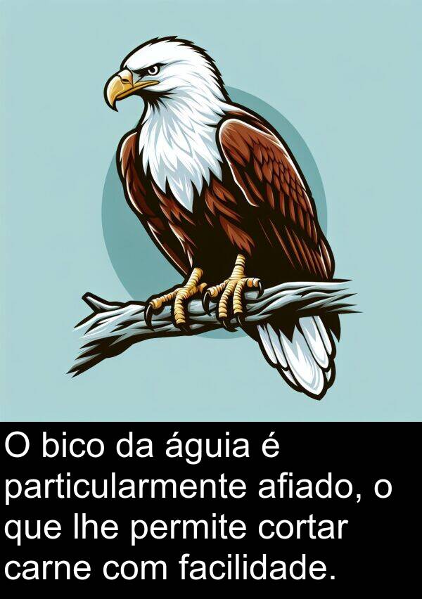 facilidade: O bico da águia é particularmente afiado, o que lhe permite cortar carne com facilidade.